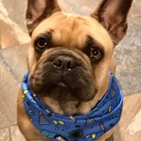 Erin Houle's profile image