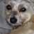 Sandi Seitz's profile image