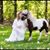 Chelsie Rice East's profile image