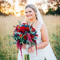 Rachel Schmitt's profile image