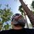 Eric S Gonzales's profile image