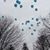Jacqueline Gray Endlich's profile image