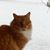 Kim Deihl's profile image