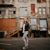Taylor Van Loo's profile image
