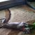 Barbara Jo Alden Ouverson's profile image