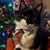 Felicia Nelson Koth's profile image