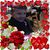 Trish Viele Fenchock's profile image
