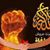 Fady Yassin's profile image