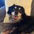 Carolyn Selk's profile image