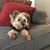 Cyndi Fox Polito's profile image