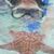Jennifer Marie Robinson Totora's profile image