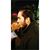 Matthew Salinas's profile image