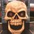 Seth Webster's profile image