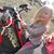 Shelby Bledsoe's profile image