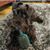 Kelly Friazza's profile image
