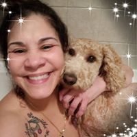 Brunilda Vargas's profile image