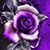 Rachel Dennis's profile image