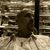 Bill Kowalski's profile image