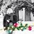 Niki Whitham's profile image