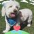 Andres Parra Dueñas's profile image