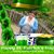Maureen Lees Kinsella's profile image
