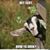Trista Worley's profile image