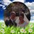 Rebecca B Riley's profile image