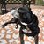 Dawn Lotter's profile image