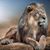 Gary Ray's profile image