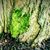 Brenda Adams's profile image