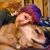 Krista de Vries's profile image