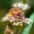 Missy Richter's profile image