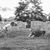 William Warrick's profile image
