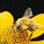 Christine Kelly's profile image