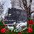 Mary Hoyt's profile image