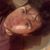 Carlos Horacio Valencia Otero's profile image