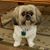 Paula Heaps Moses's profile image