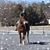 Christine Hajek's profile image
