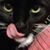 Mikkie Love's profile image