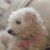 Sandra Kay Johnson's profile image