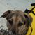 Frances Gilmore Lentz's profile image