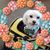 Jane Nusbaum's profile image