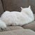Debra Osborne's profile image