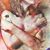 Ann-Michelle Lykins's profile image