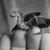 Jay Bird's profile image