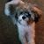 Kelly Kurtzbach's profile image