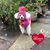 Susan Nixon's profile image