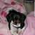 Karen Monfort Kerr's profile image
