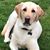 Kimberly Trudell's profile image