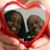 Bea R. Davidson-Mitchell's profile image